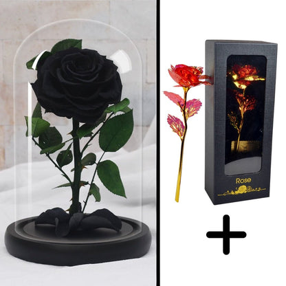 Bundle Pack: Red Eternal Rose + 24K Gold-Plated Rose (Choice)