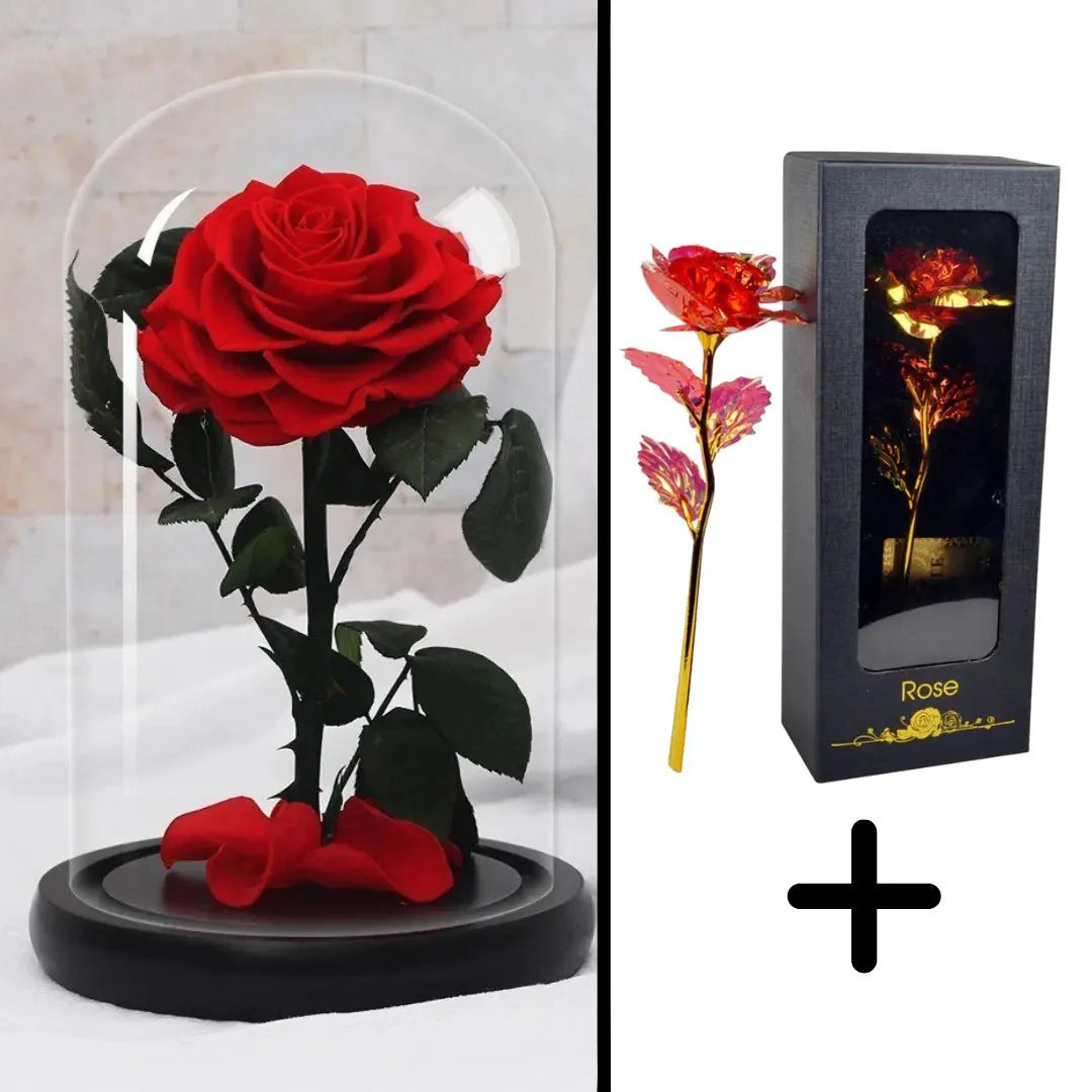 Bundle Pack: Red Eternal Rose + 24K Gold-Plated Rose (Choice)