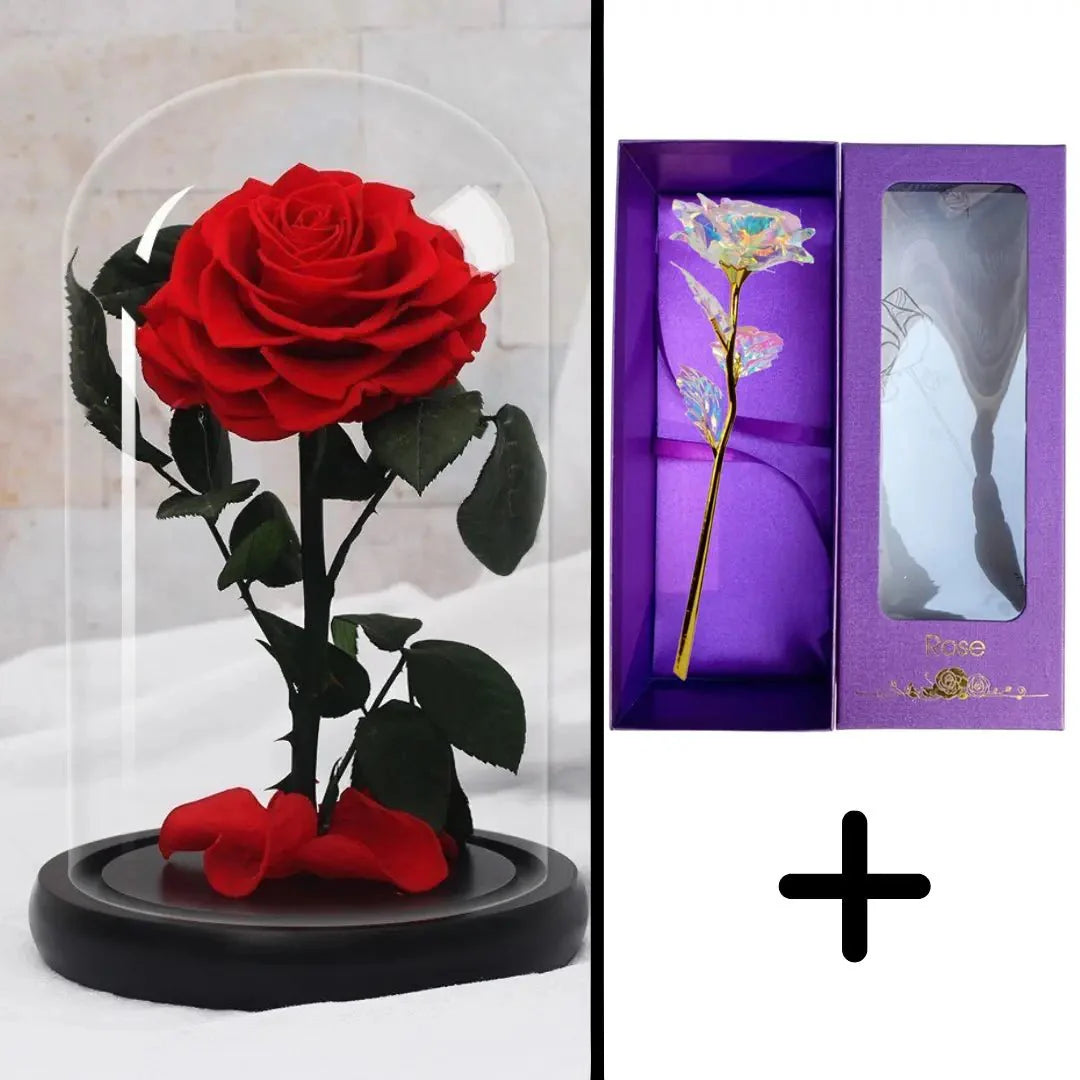 Bundle Pack: Red Eternal Rose + 24K Gold-Plated Rose (Choice)