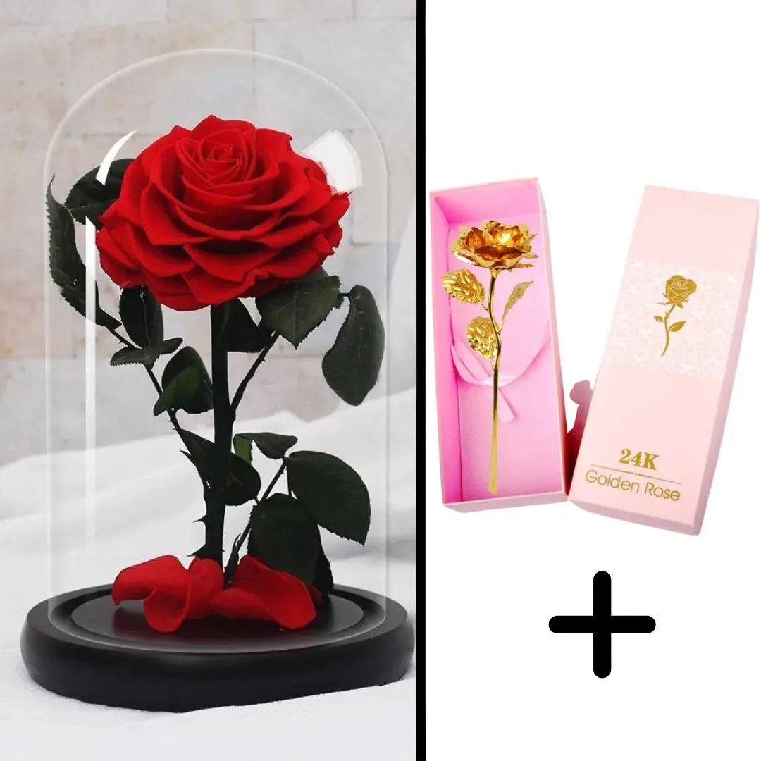 Bundle Pack: Red Eternal Rose + 24K Gold-Plated Rose (Choice)