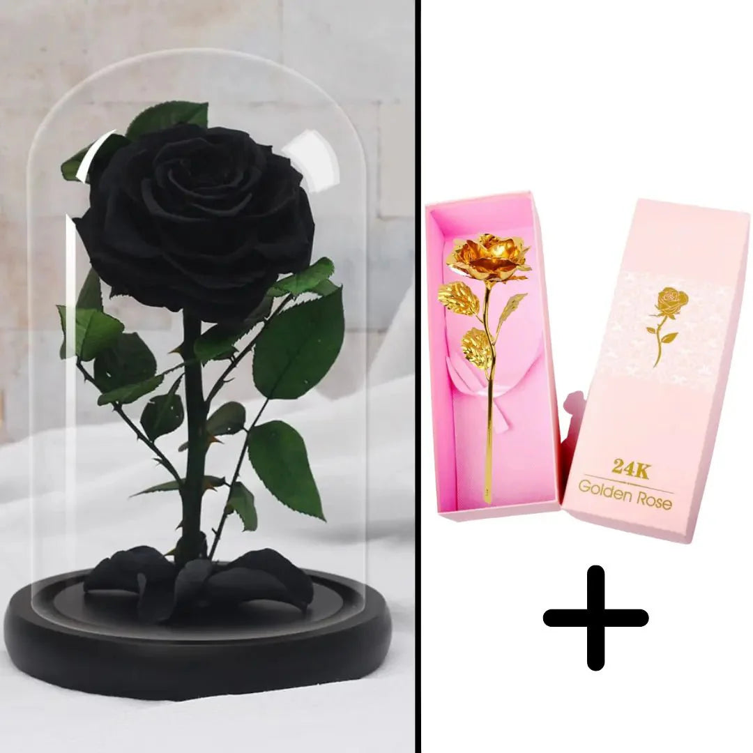 Bundle Pack: Red Eternal Rose + 24K Gold-Plated Rose (Choice)