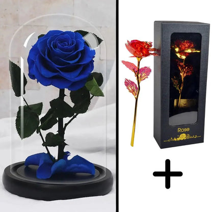 Bundle Pack: Red Eternal Rose + 24K Gold-Plated Rose (Choice)