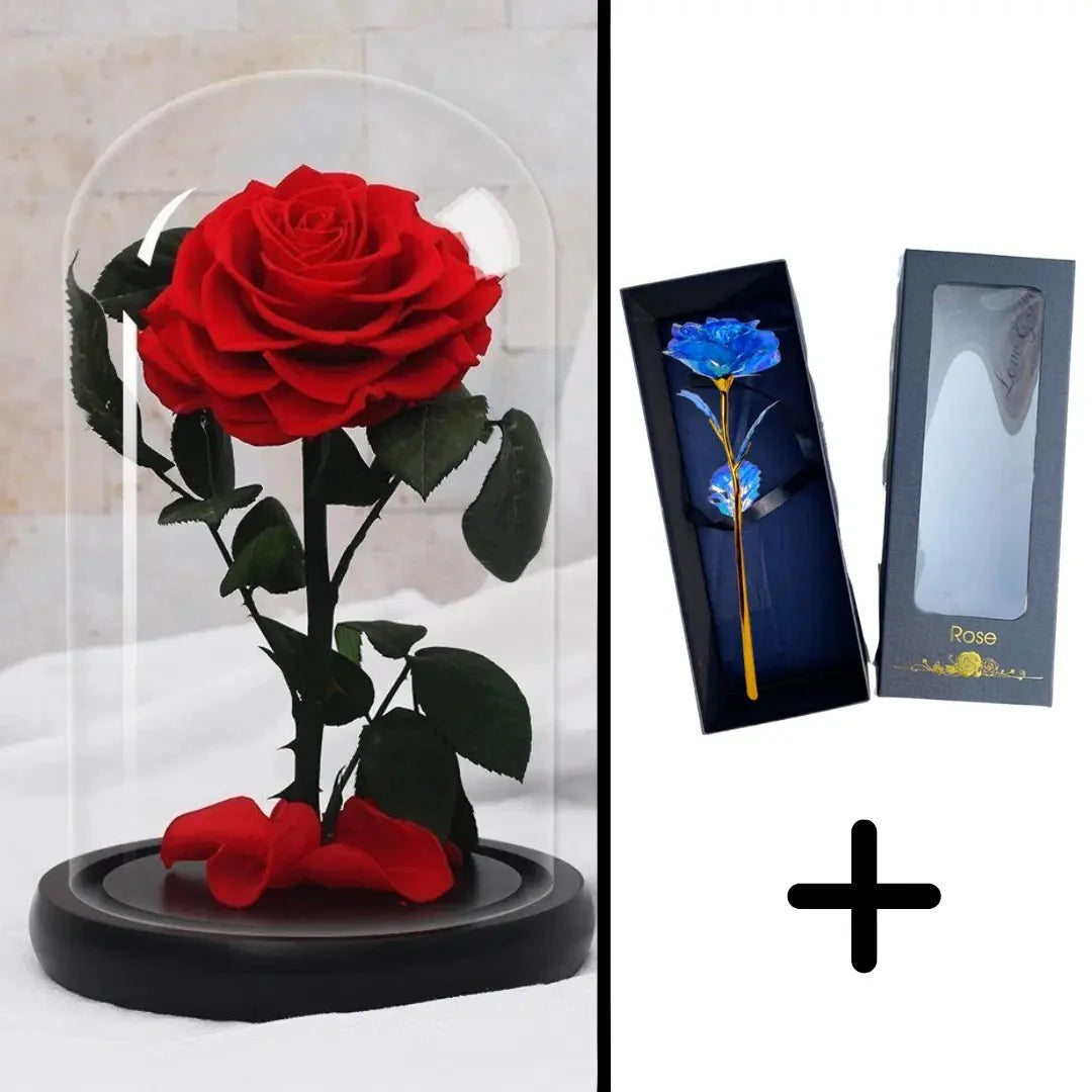 Bundle Pack: Red Eternal Rose + 24K Gold-Plated Rose (Choice)