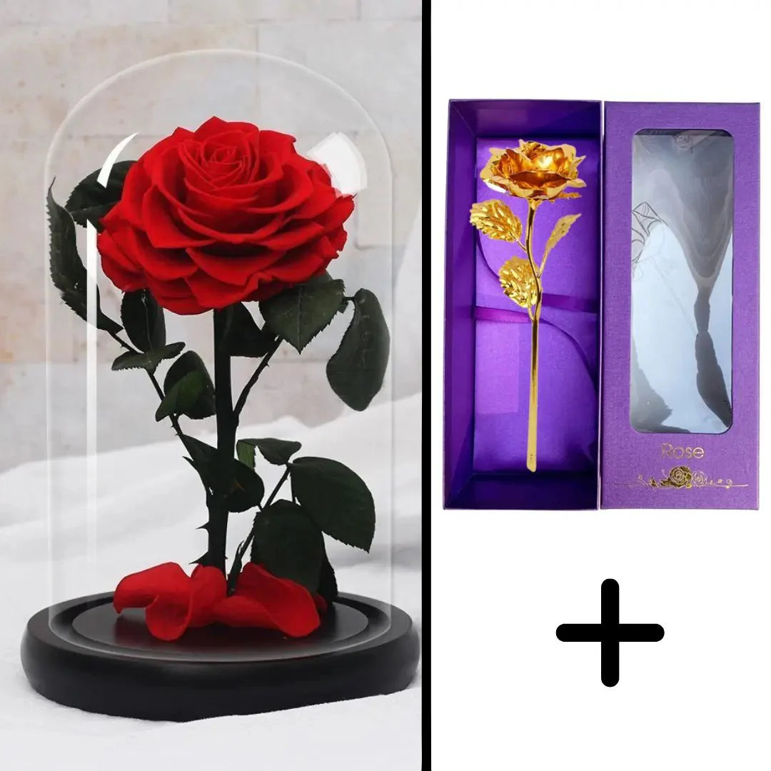 Bundle Pack: Red Eternal Rose + 24K Gold-Plated Rose (Choice)