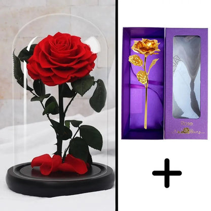 Bundle Pack: Red Eternal Rose + 24K Gold-Plated Rose (Choice)