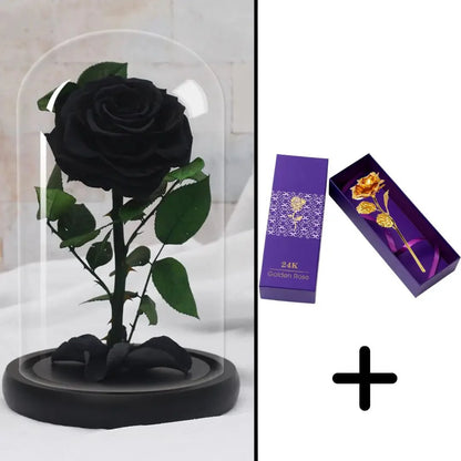 Bundle Pack: Red Eternal Rose + 24K Gold-Plated Rose (Choice)