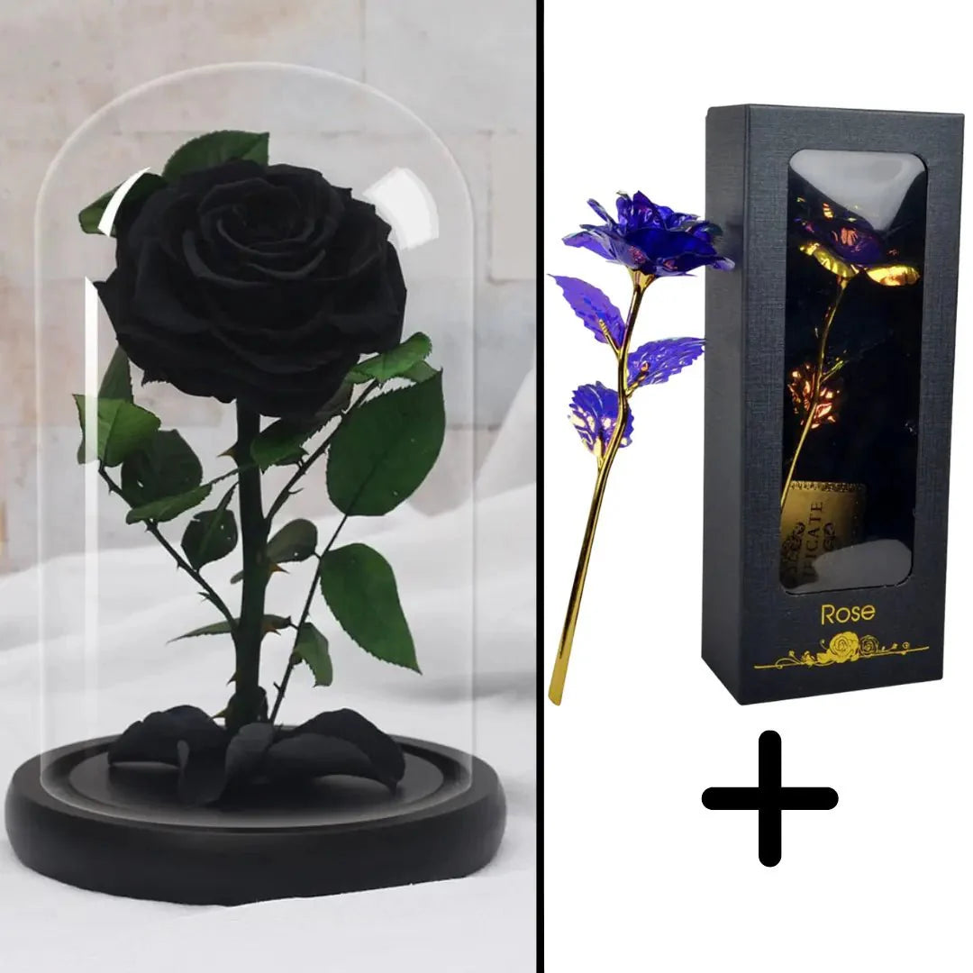 Bundle Pack: Red Eternal Rose + 24K Gold-Plated Rose (Choice)