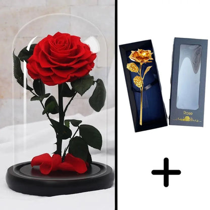 Bundle Pack: Red Eternal Rose + 24K Gold-Plated Rose (Choice)