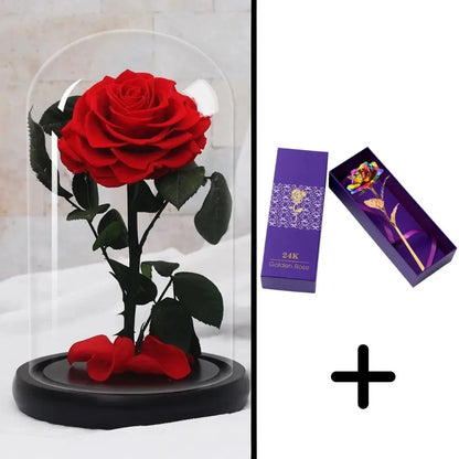 Bundle Pack: Red Eternal Rose + 24K Gold-Plated Rose (Choice)