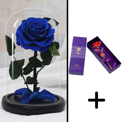 Bundle Pack: Red Eternal Rose + 24K Gold-Plated Rose (Choice)