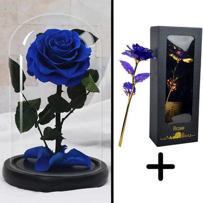 Bundle Pack: Red Eternal Rose + 24K Gold-Plated Rose (Choice)