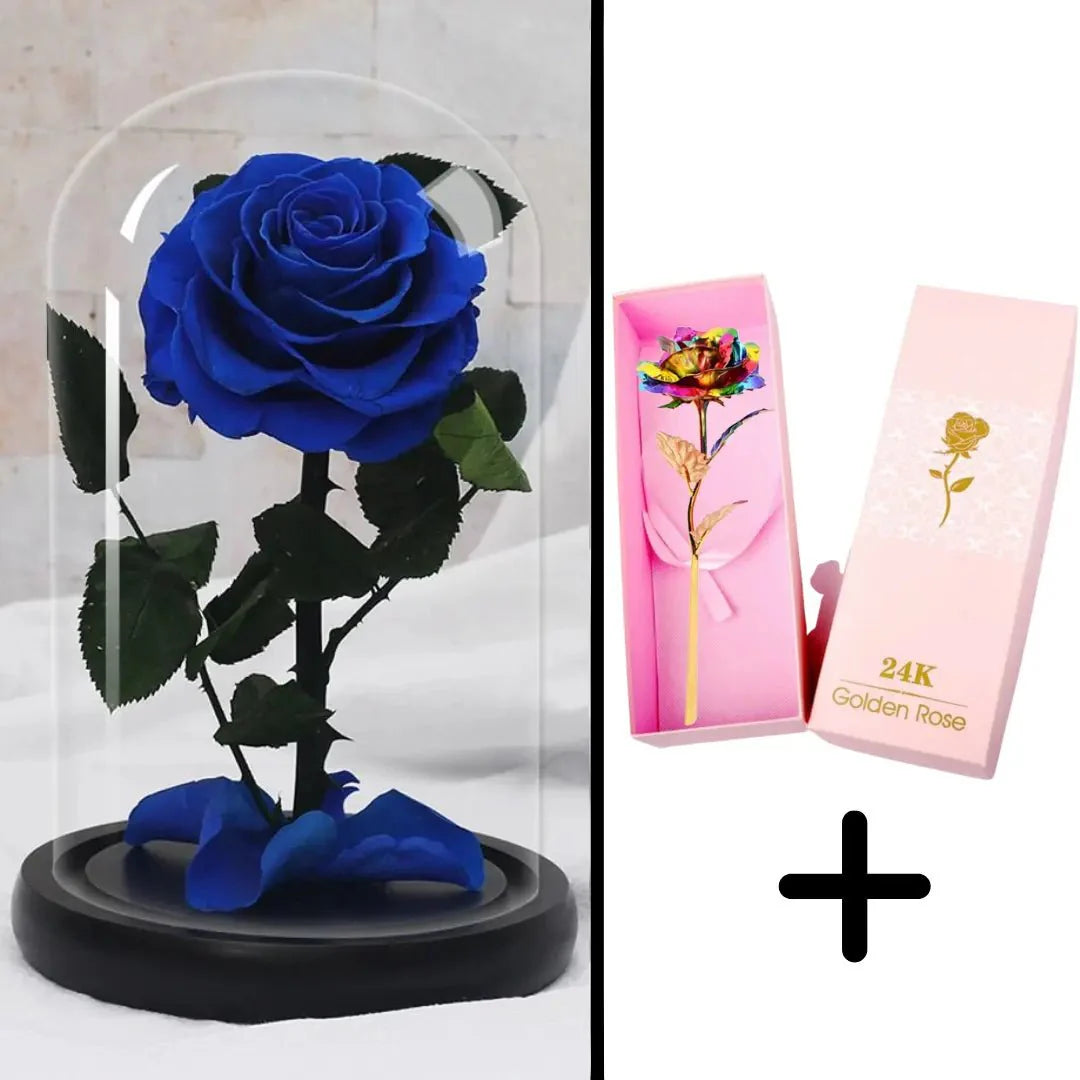 Bundle Pack: Red Eternal Rose + 24K Gold-Plated Rose (Choice)