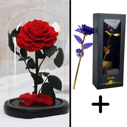 Bundle Pack: Red Eternal Rose + 24K Gold-Plated Rose (Choice)