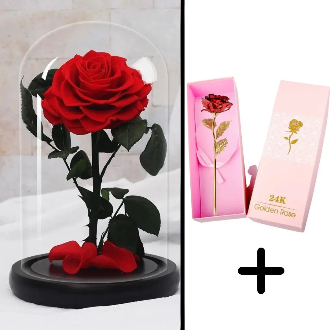 Bundle Pack: Red Eternal Rose + 24K Gold-Plated Rose (Choice)