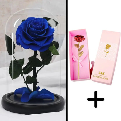 Bundle Pack: Red Eternal Rose + 24K Gold-Plated Rose (Choice)