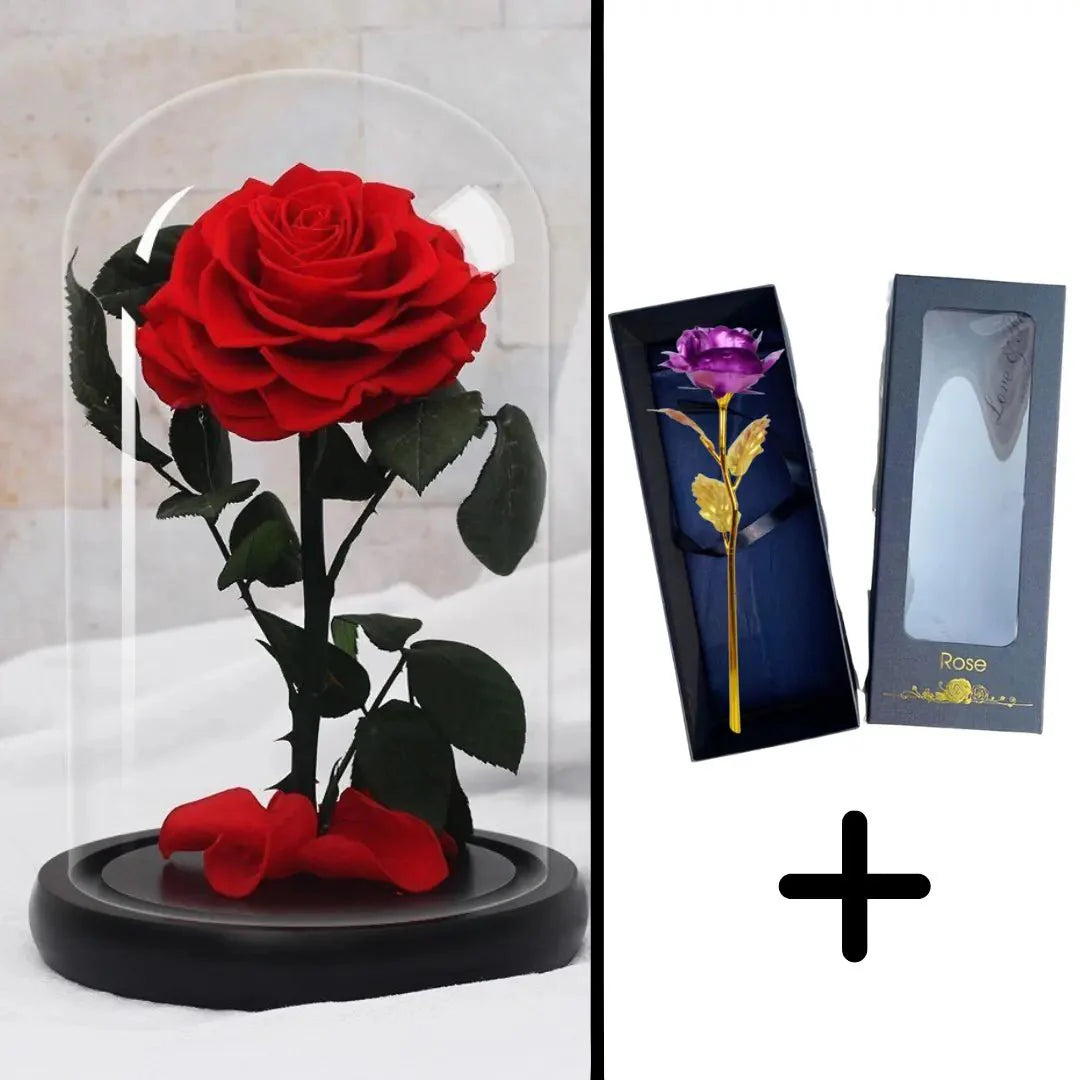 Bundle Pack: Red Eternal Rose + 24K Gold-Plated Rose (Choice)