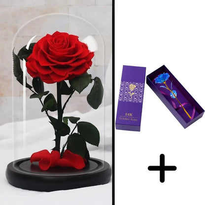 Bundle Pack: Red Eternal Rose + 24K Gold-Plated Rose (Choice)