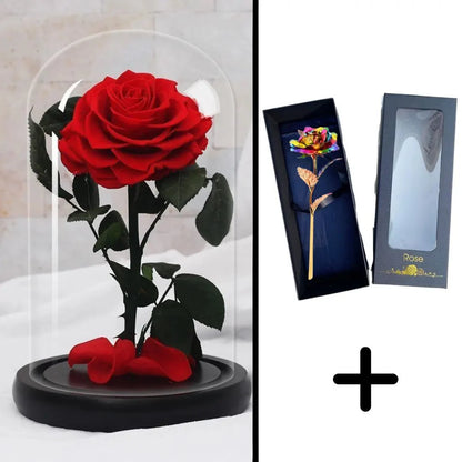 Bundle Pack: Red Eternal Rose + 24K Gold-Plated Rose (Choice)