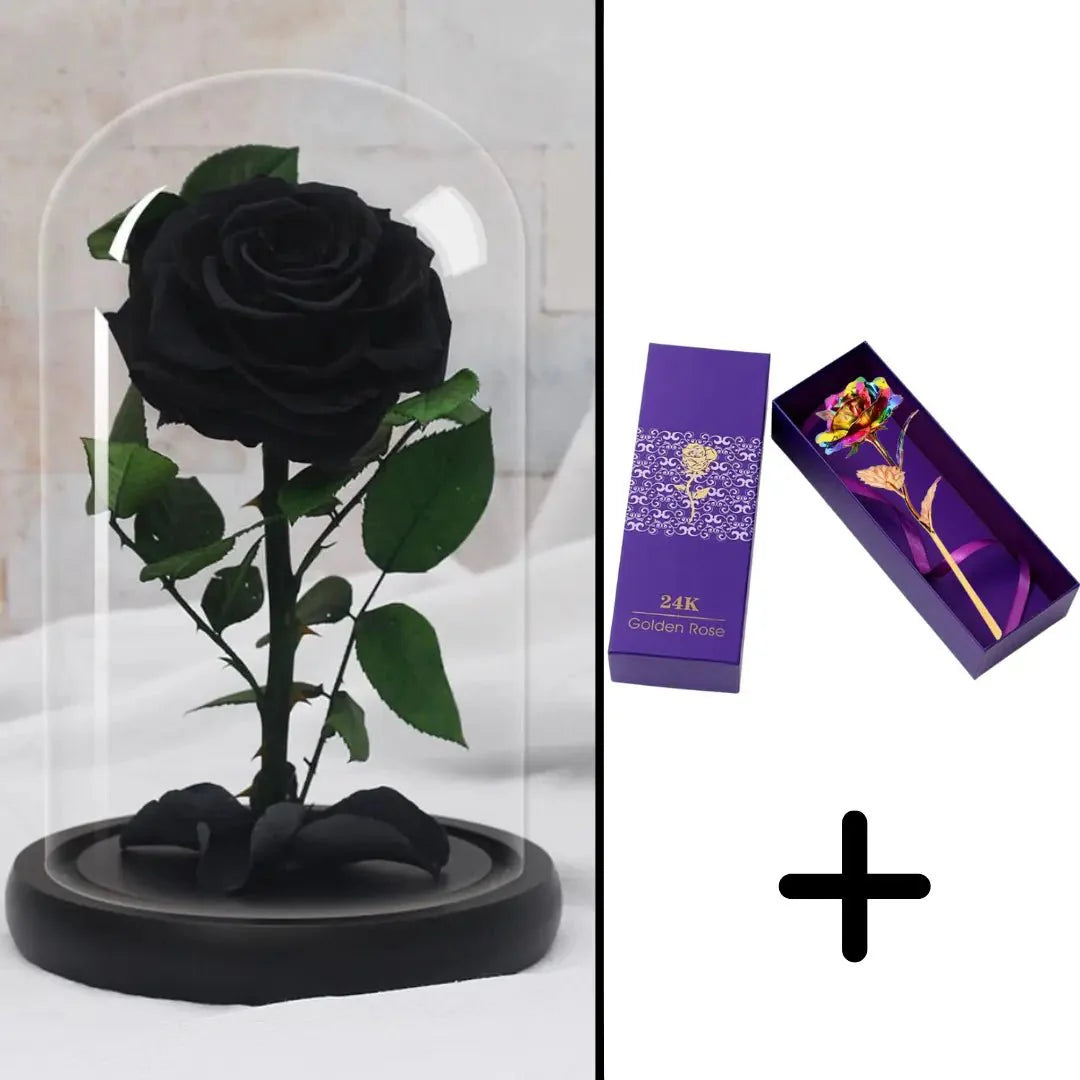 Bundle Pack: Red Eternal Rose + 24K Gold-Plated Rose (Choice)