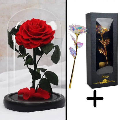 Bundle Pack: Red Eternal Rose + 24K Gold-Plated Rose (Choice)