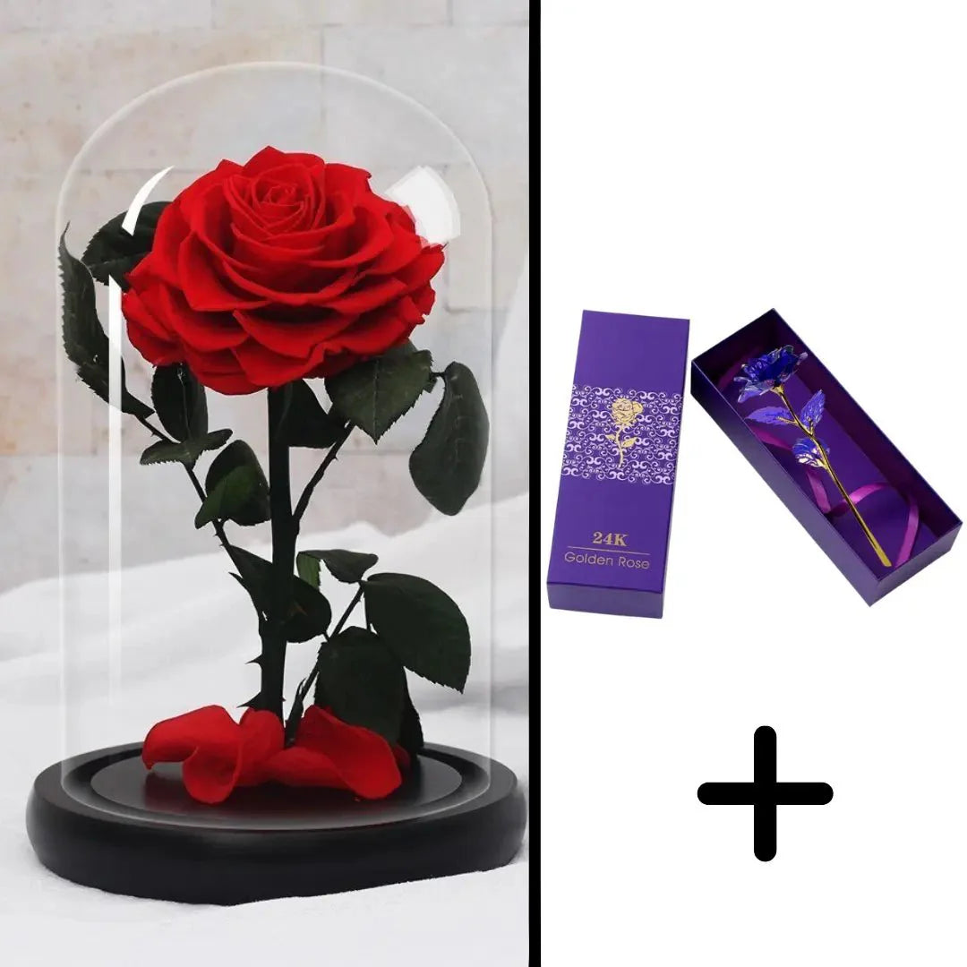 Bundle Pack: Red Eternal Rose + 24K Gold-Plated Rose (Choice)