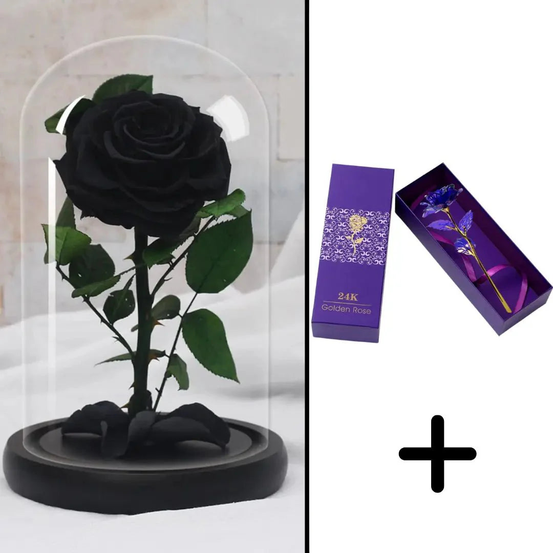 Bundle Pack: Red Eternal Rose + 24K Gold-Plated Rose (Choice)