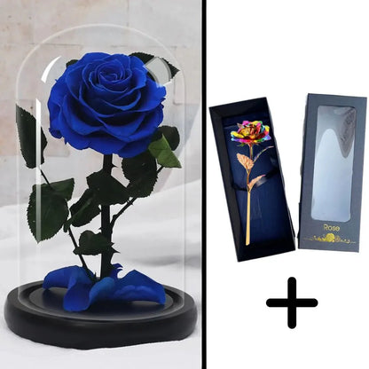 Bundle Pack: Red Eternal Rose + 24K Gold-Plated Rose (Choice)