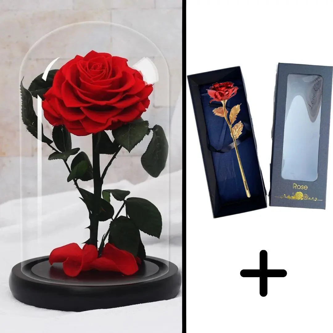 Bundle Pack: Red Eternal Rose + 24K Gold-Plated Rose (Choice)