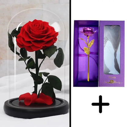 Bundle Pack: Red Eternal Rose + 24K Gold-Plated Rose (Choice)