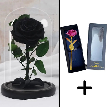 Bundle Pack: Red Eternal Rose + 24K Gold-Plated Rose (Choice)