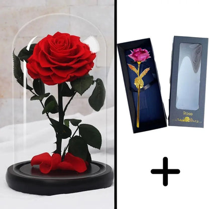 Bundle Pack: Red Eternal Rose + 24K Gold-Plated Rose (Choice)