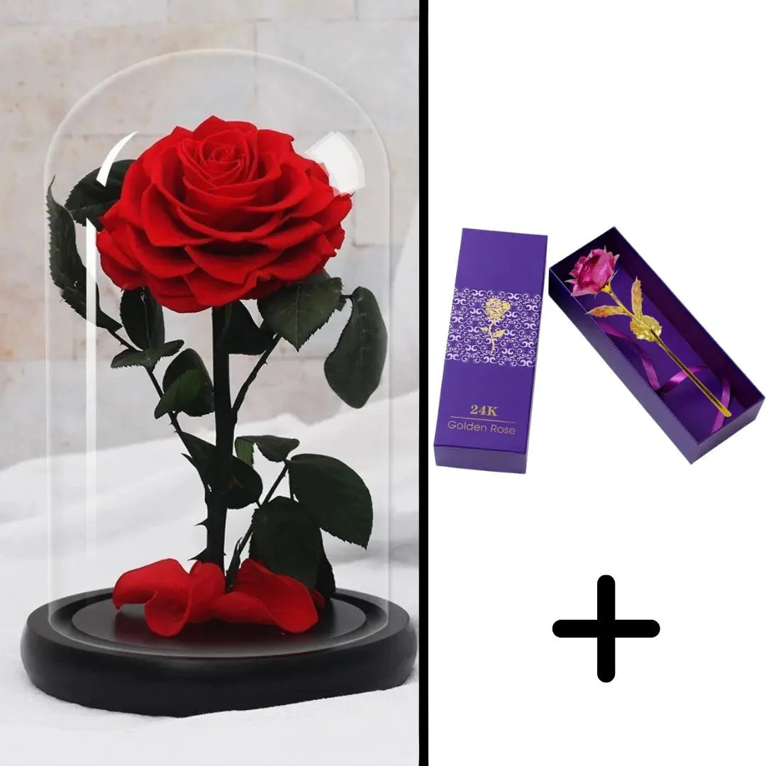 Bundle Pack: Red Eternal Rose + 24K Gold-Plated Rose (Choice)