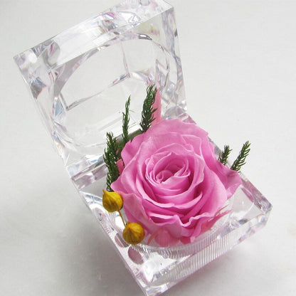 Eternal Rose small glass box (choice of color)