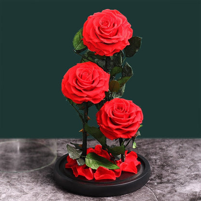 Premium Eternal Rose (Style of your choice) - Eternal Rose Store