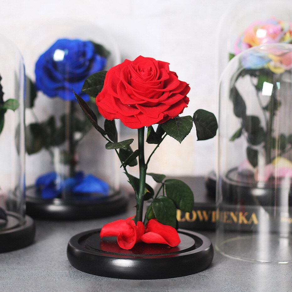 Premium Eternal Rose (Style of your choice) - Eternal Rose Store