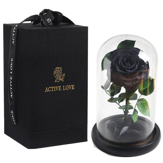 Prestigious Black Rose with Box