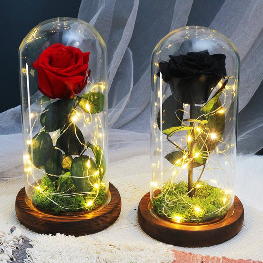 Eternal Rose Under Lighted Bell (Choice of Color) - Eternal Rose Store