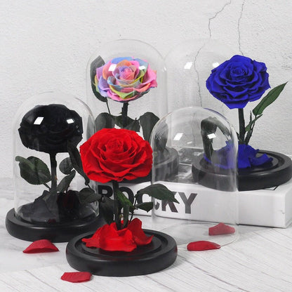 Prestigious Multicolored Rose with Box