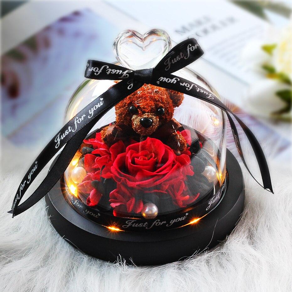 Eternal Rose Teddy Bear Under Dome (Choice of Colors) - Eternal Rose Store