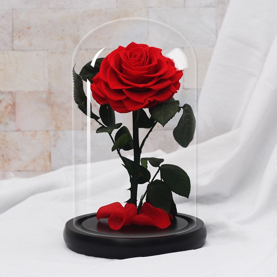 White eternal rose in glass bell