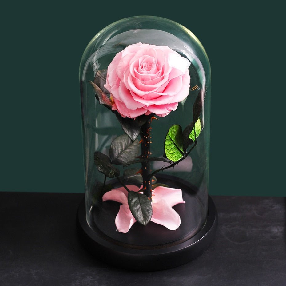 Eternal Rose Under Pink Color Bell - Eternal Rose Store