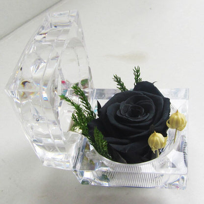 Eternal Rose small glass box (choice of color)