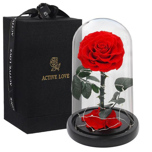 Prestigious Red Rose with Box