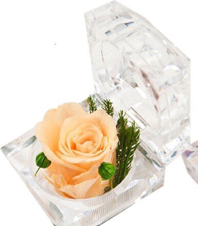 Eternal Rose small glass box (choice of color)