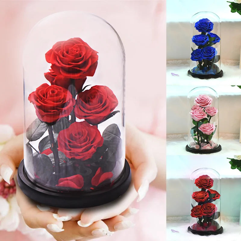 Premium Eternal Rose in Glass Dome ( color choice )