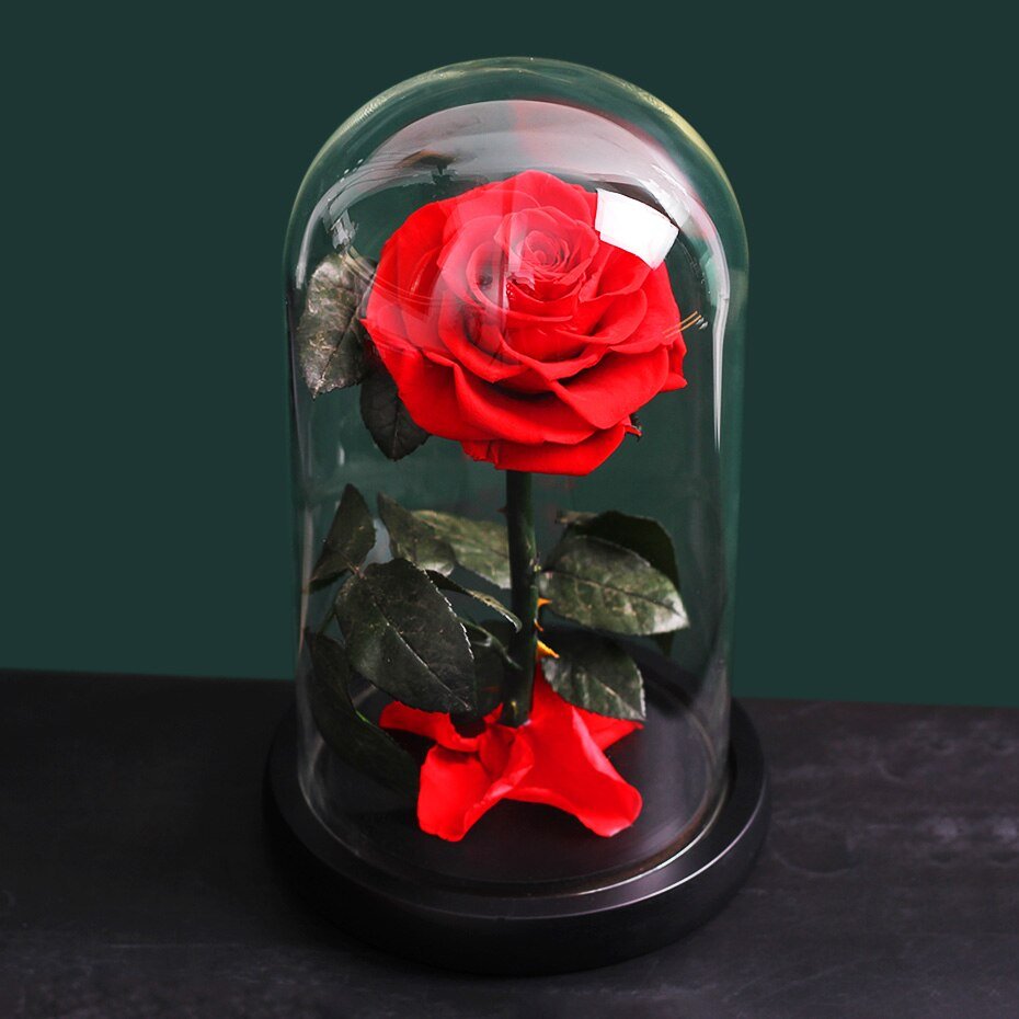 Premium Eternal Rose (Style of your choice) - Eternal Rose Store