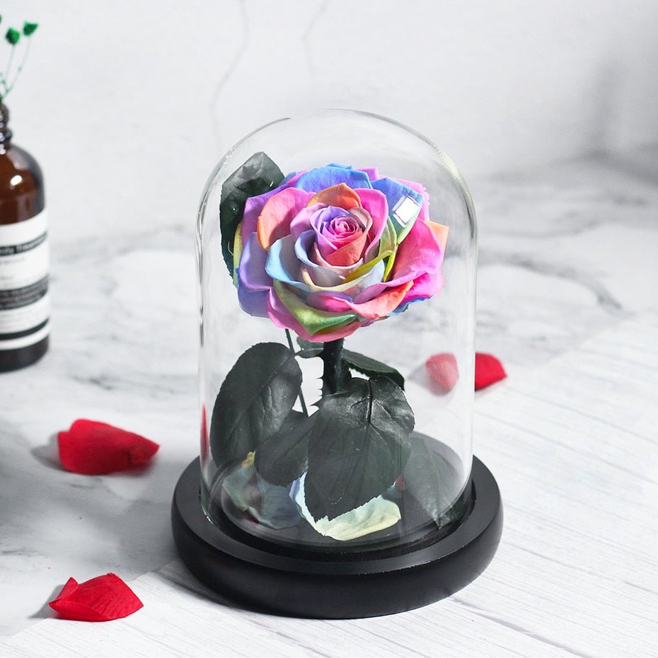 Prestigious Multicolored Rose with Box