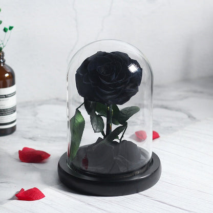 Prestigious Black Rose with Box