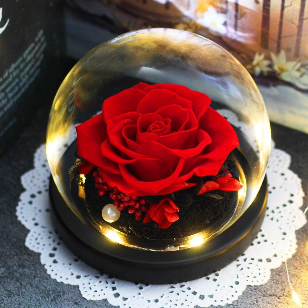 Eternal Rose under Red Dome - Eternal Rose Store