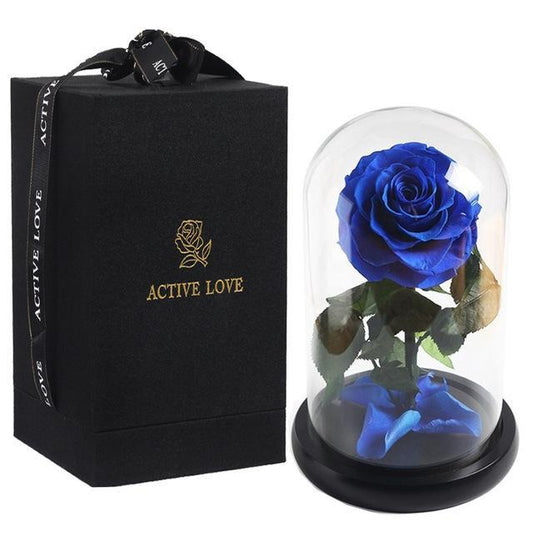 Prestigious Blue Rose with Box